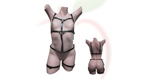 HARNESS 02 O FRUTO - BODY ARREIO - PRETO